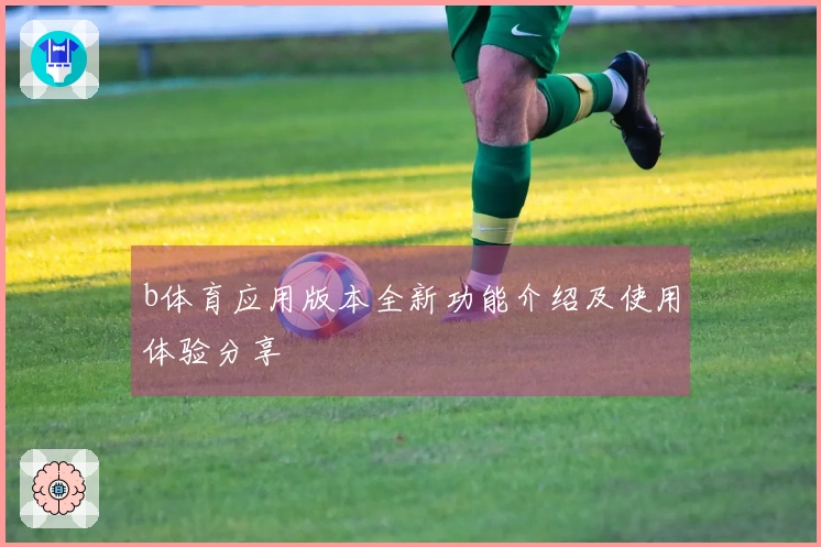 b体育应用版本全新功能介绍及使用体验分享