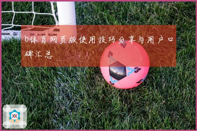 b体育网页版使用技巧分享与用户口碑汇总