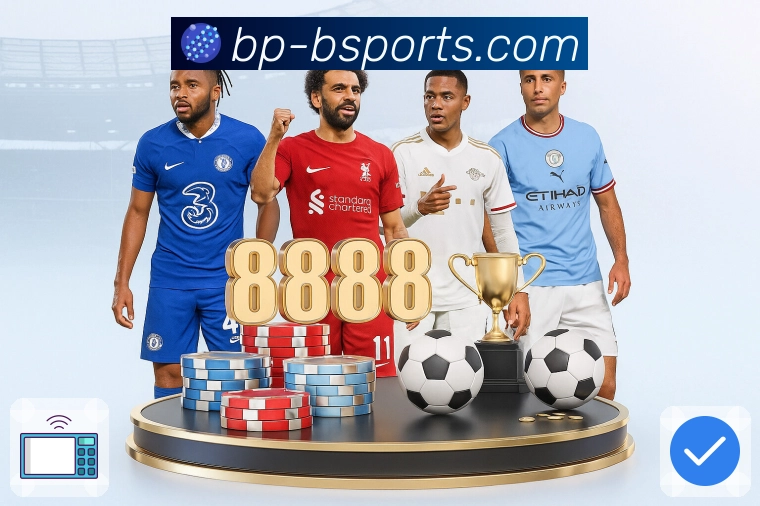 b体育平台展示图